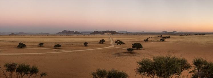 The View from Elims Dune