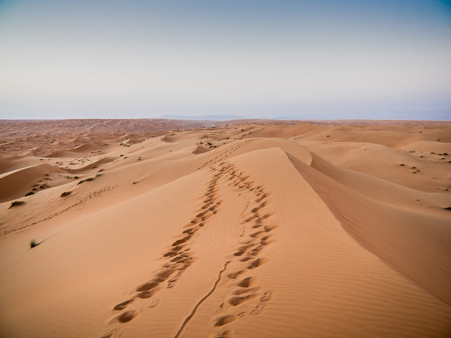 Footprints in the Dunes at Wahiba Sands - Oman