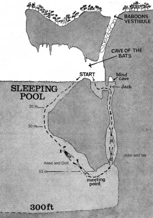 Bat Cave Dive