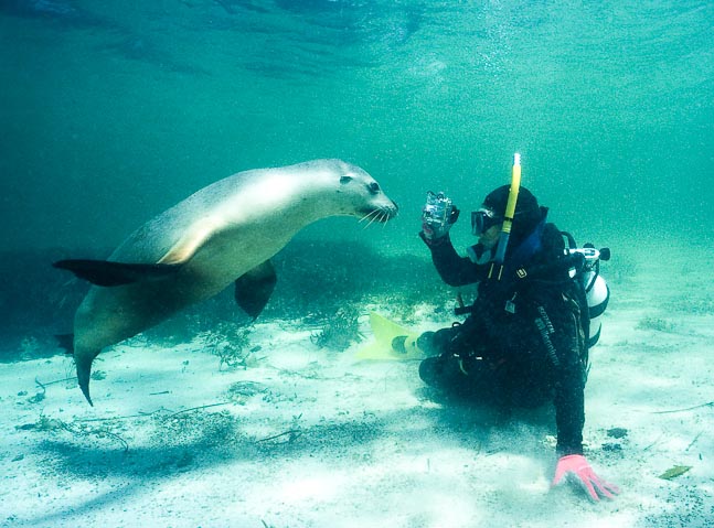 'Give us a kiss' - Jurien Bay, WA